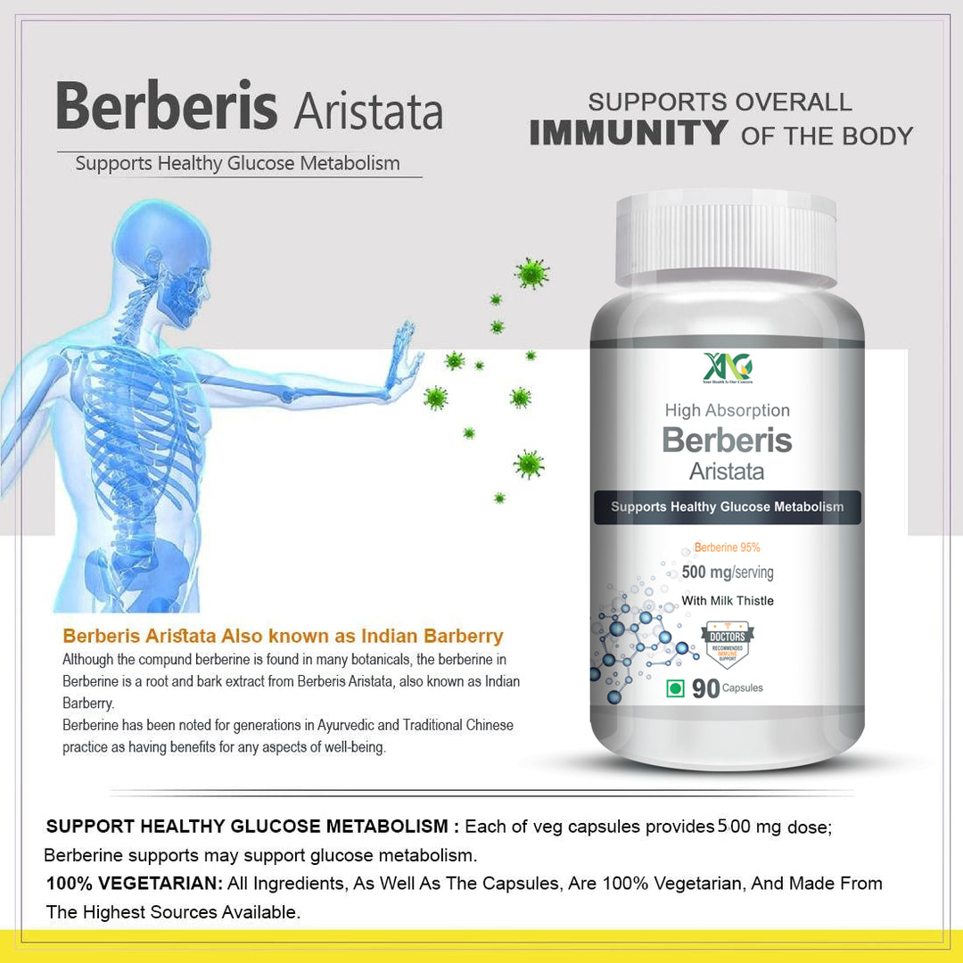 ANC Berberis Berberine 95% with Milk Thistle Vegetable 90 Capsules