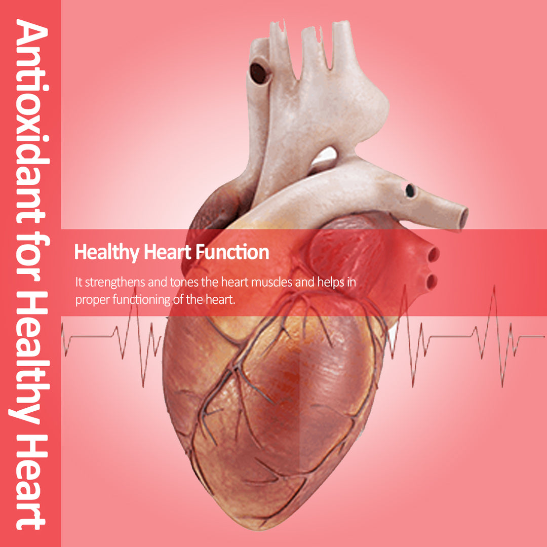 ANC Cardio Care Arjuna Extract & Moringa Extract for Heart Health & Cholesterol Control 60 Tablets for Men & Women
